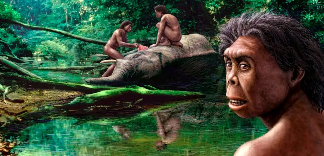 Hobbits life reconstruction